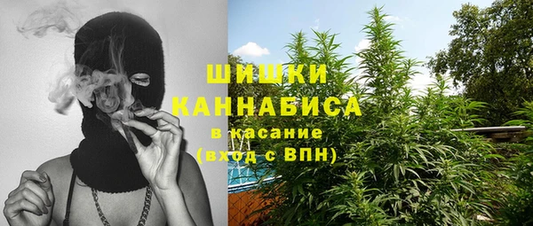 сатива Вязьма