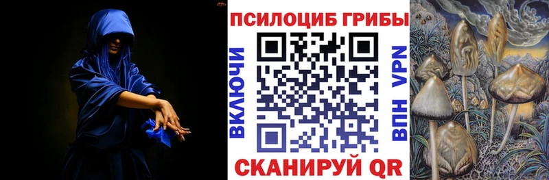 Псилоцибиновые грибы Cubensis  MEGA онион  Кострома  где можно купить наркотик 